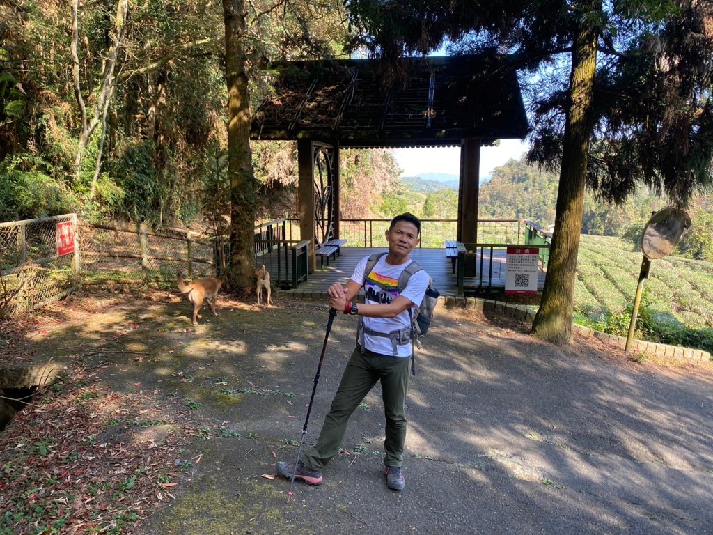 貓囒山.涵碧步道.金龍山步道【國旅首選日月潭微秘境之旅】_2448741