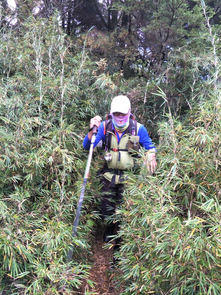 2019 1121 - 24 大小劍山_753759