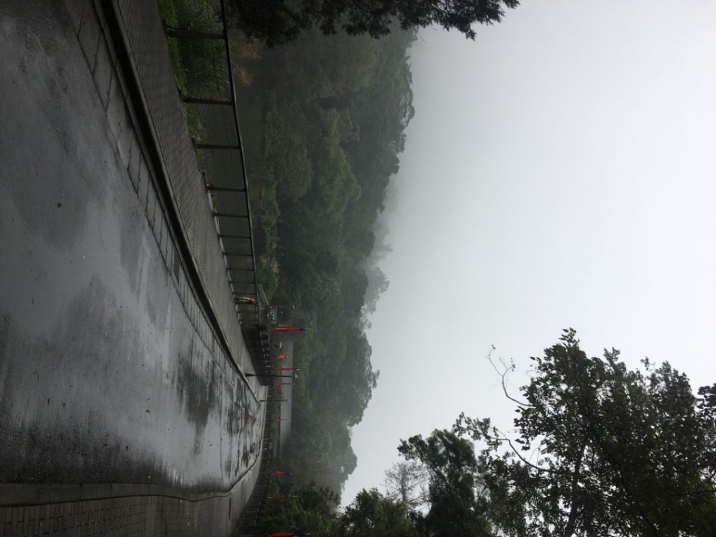 頭寮山o(慈湖、秘密花園咖啡☕️_2649085