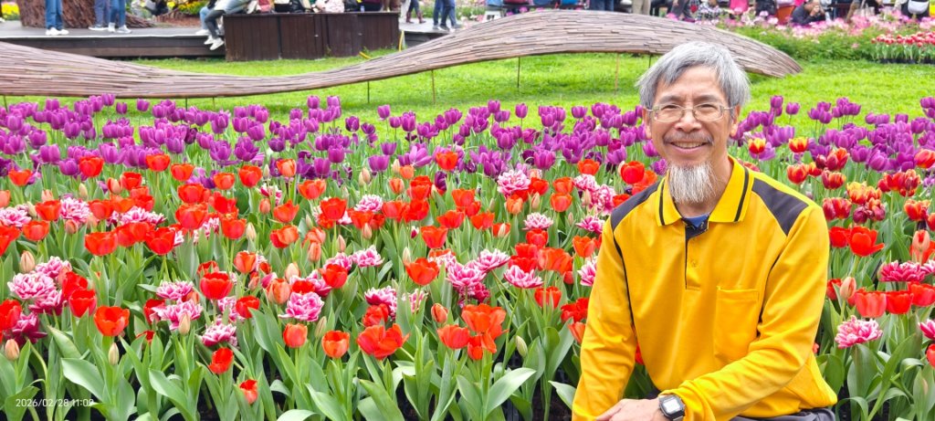 #士林官邸 #鬱金香 #中正紀念堂 #大漁櫻 2/28_3007923