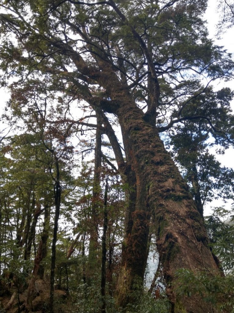 鳶嘴捎來之峰_791721