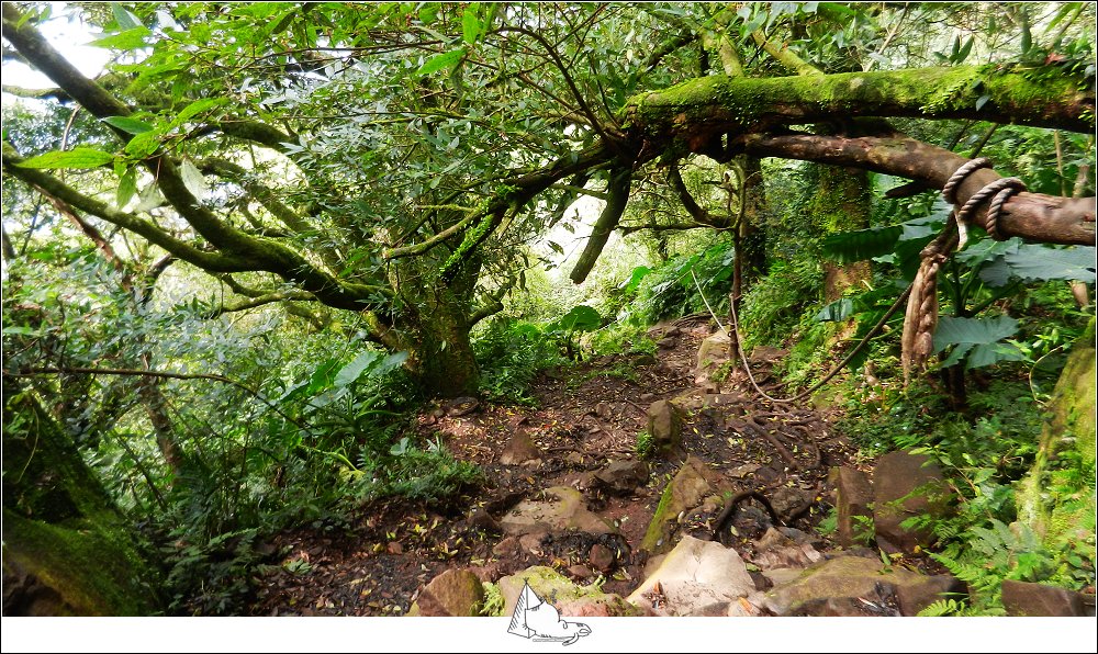 大屯山群峰步道(大屯山主峰、南峰、西峰)_882617