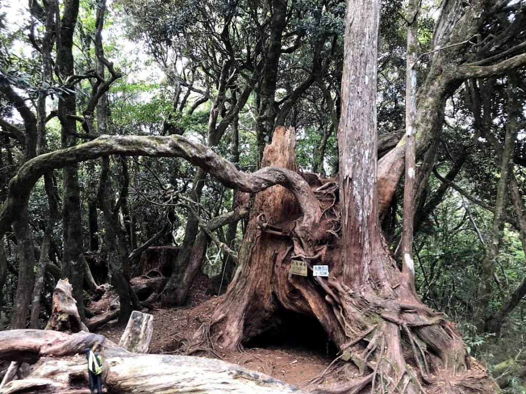 高島縱走（高台山連走島田山）20210508封面圖