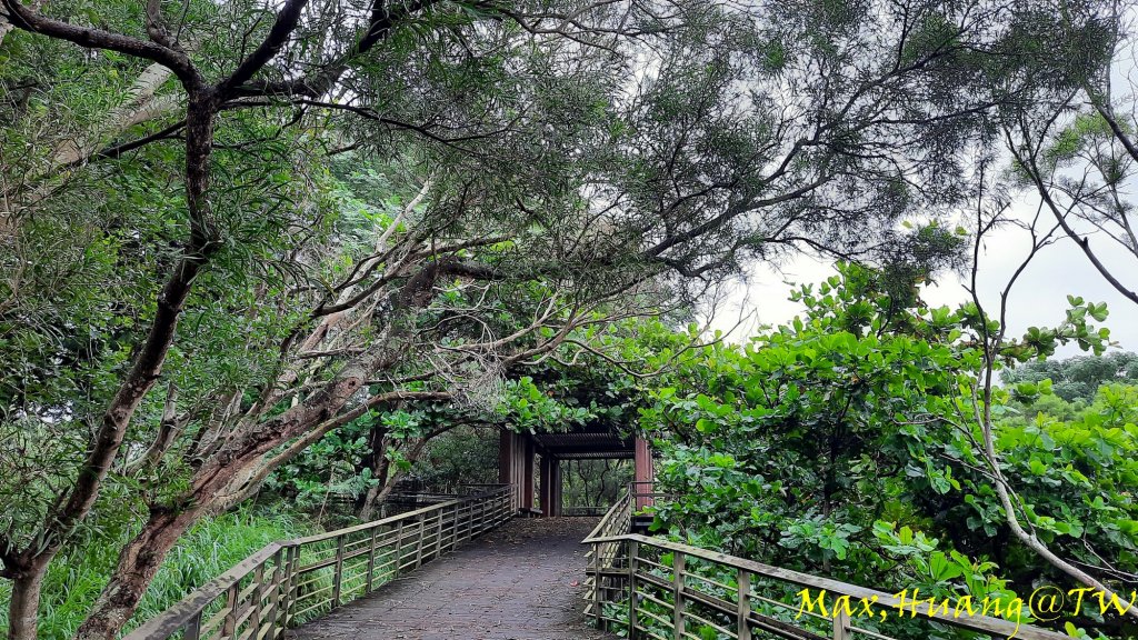 《台中》雙園連走｜東大公園連走都會公園20231007_2305922