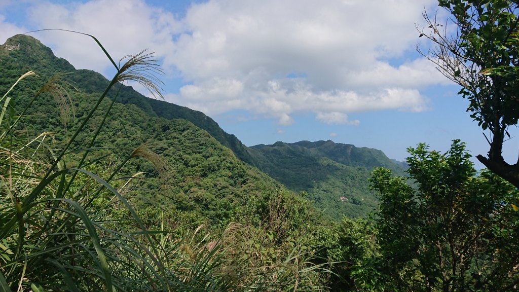 20181021灣坑頭山、桃源谷_440622