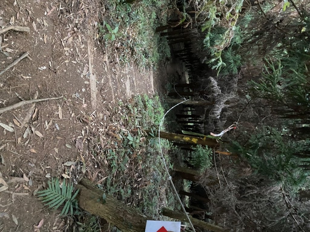 向天湖山_2604197