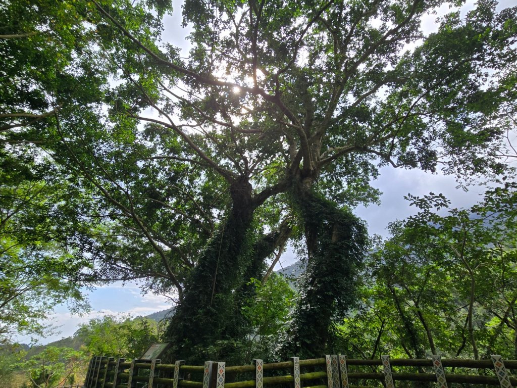 麻荖漏步道、彩虹瀑布封面圖