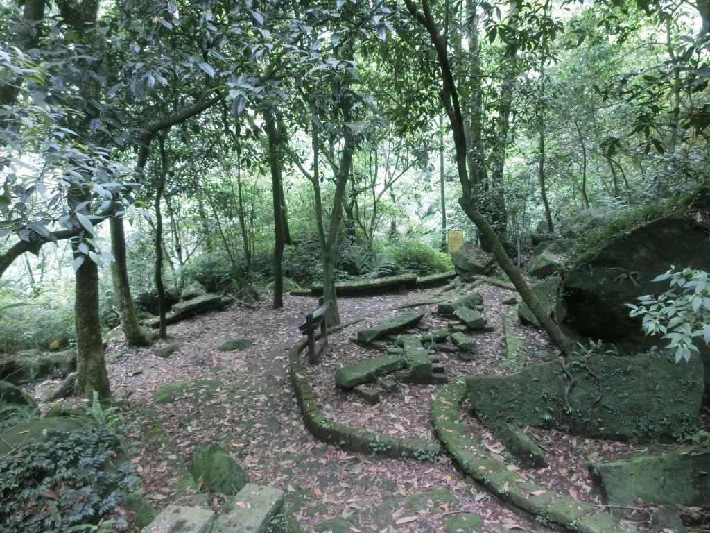 擎天崗．魚路古道．日人路_332000