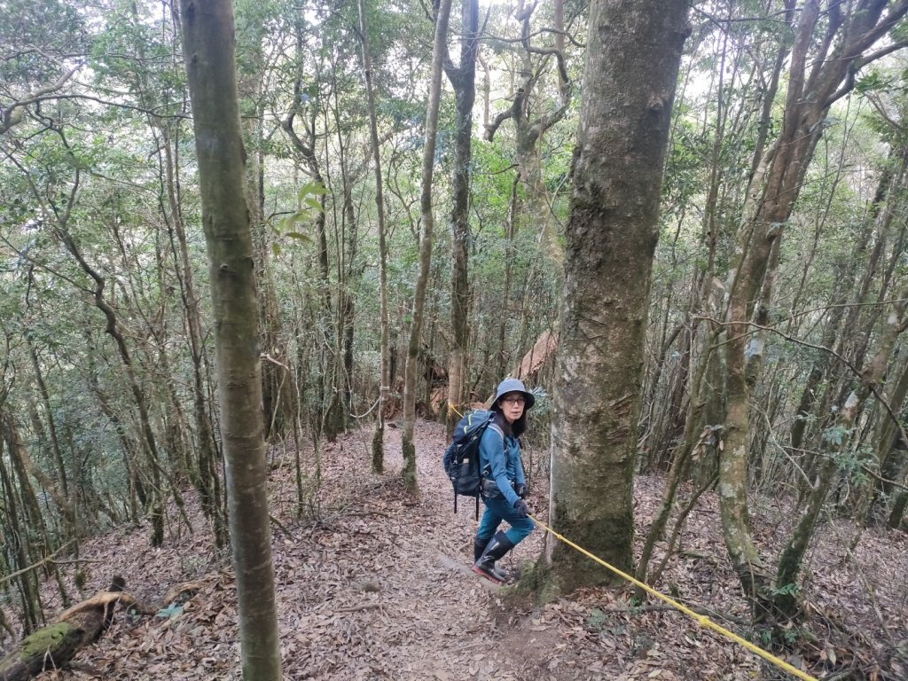 1101121 雪見北坑山，大板根，東洗水山_1521926