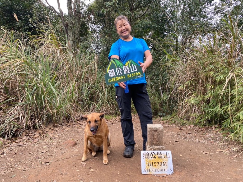 鵝公髻山（小百岳）鵝公髻山東北峰_2449848