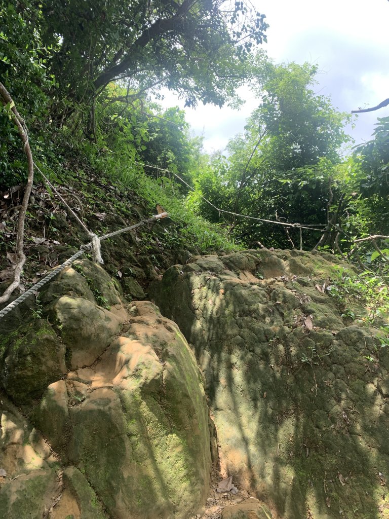 20240608高雄北旗尾南山-北旗尾山-旗尾山_2523573