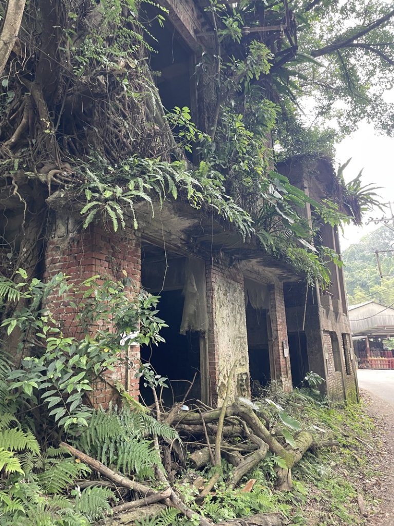 大湖之森_2968227