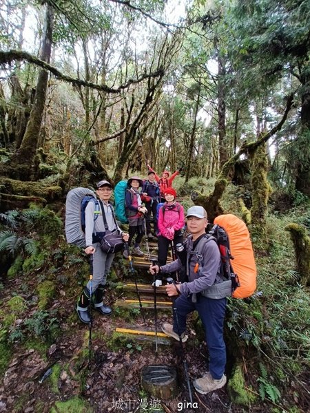 【宜蘭大同】走入魔法森林之仙女散落的珍珠。 太加縱走 (夢幻美的加羅湖)_2469218
