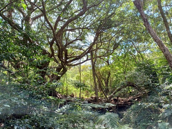 【屏東獅子鄉】海天一色。 台灣百大必訪步道~里龍山自然步道_2550788