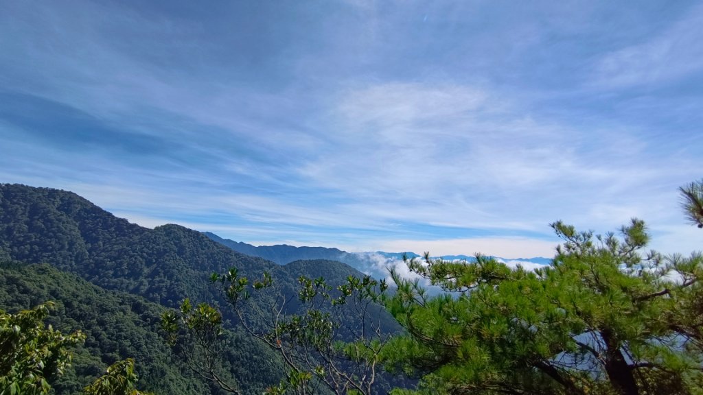 鳶嘴山美呆了~滿滿的雲海~封面圖