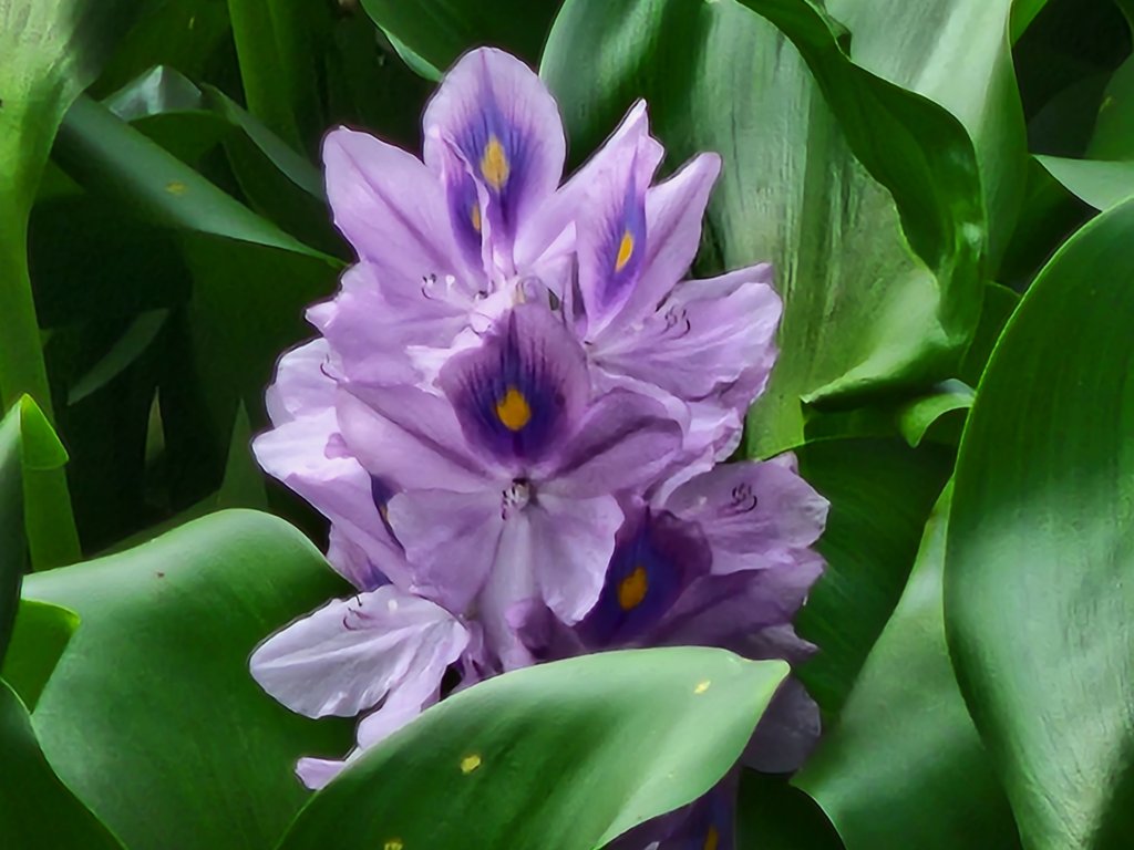 竹北｜澎湖窟步道_2630106