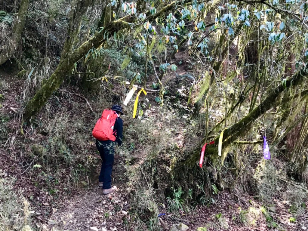 石山 石山引水道_551365