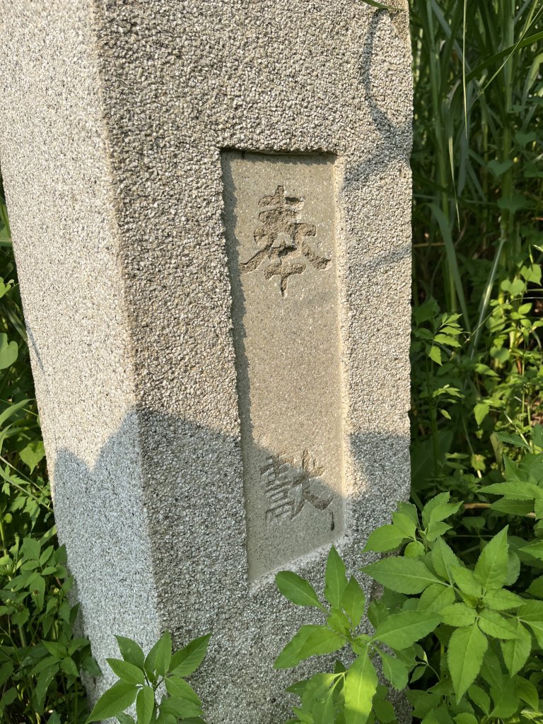 [百山百鳥尋旅-04/15] 2025_0817 龍過脈森林步道_2863402
