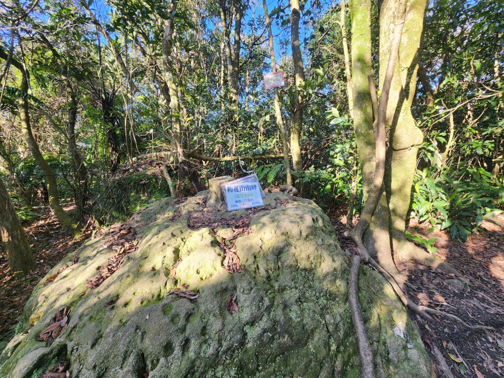 20260110大湖公園捷運站至擎天崗_2993203