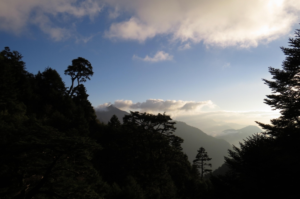 【步道小旅行】登山新手之能高越13K.奇萊南峰日出雲海_4234