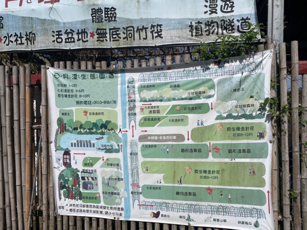 頭社活盆地_2691004