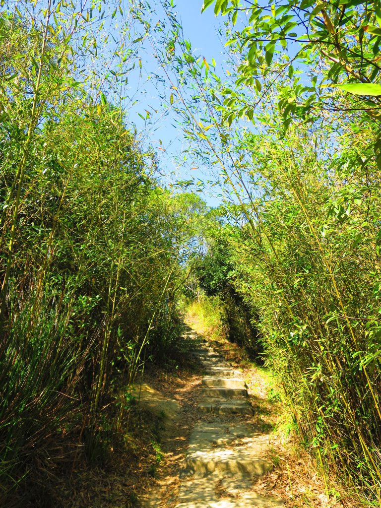 龍年首登的好選擇，鯉躍龍門，搭捷運來內湖爬三尖，鯉魚山、忠勇山、圓覺尖_2426479