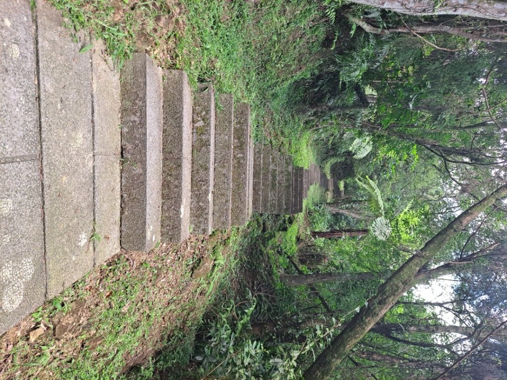 20230911淡蘭古道中段：五分山步道-暖東舊道_2446774