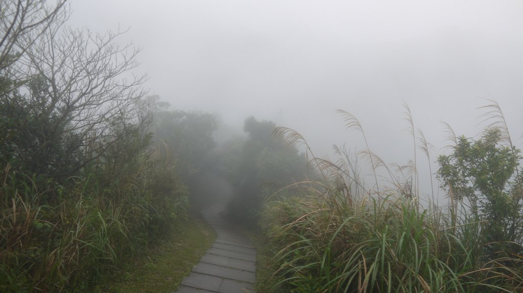 暖東舊道登山健行趣(淡蘭中路TK2-3)_1616774