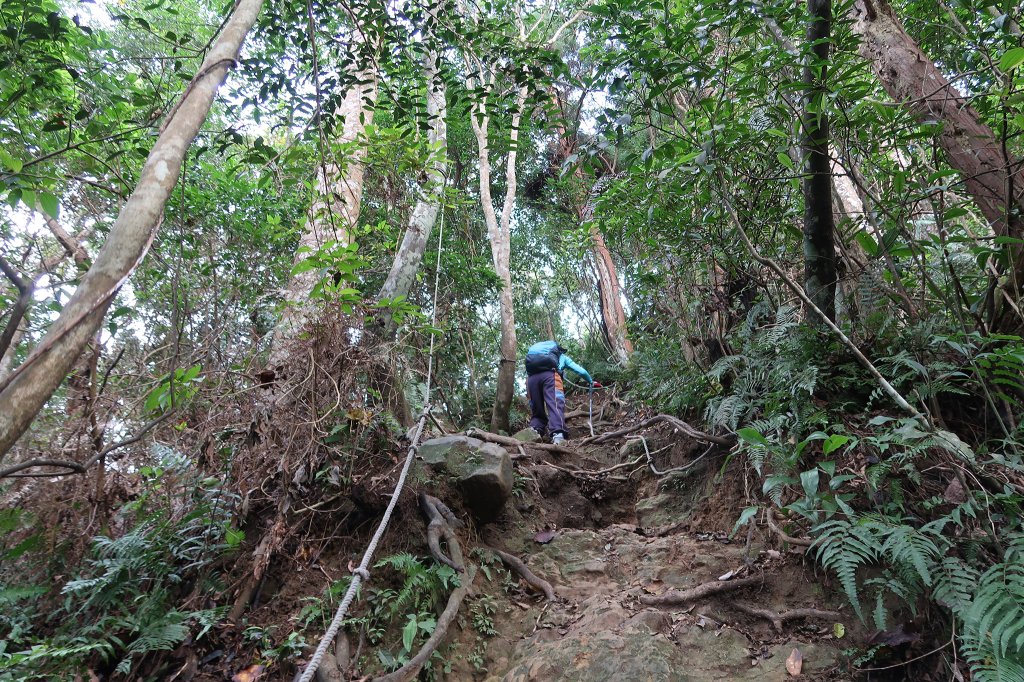 雙石縱走_2771154