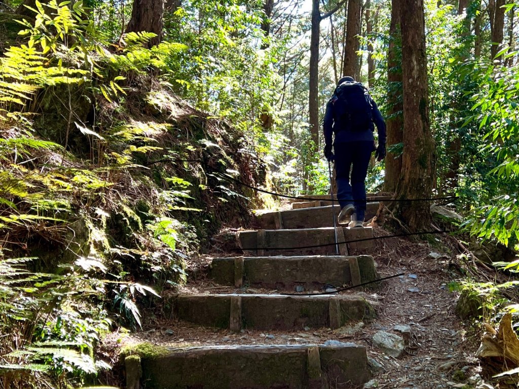 船型山環走大雪山210林道_2978026