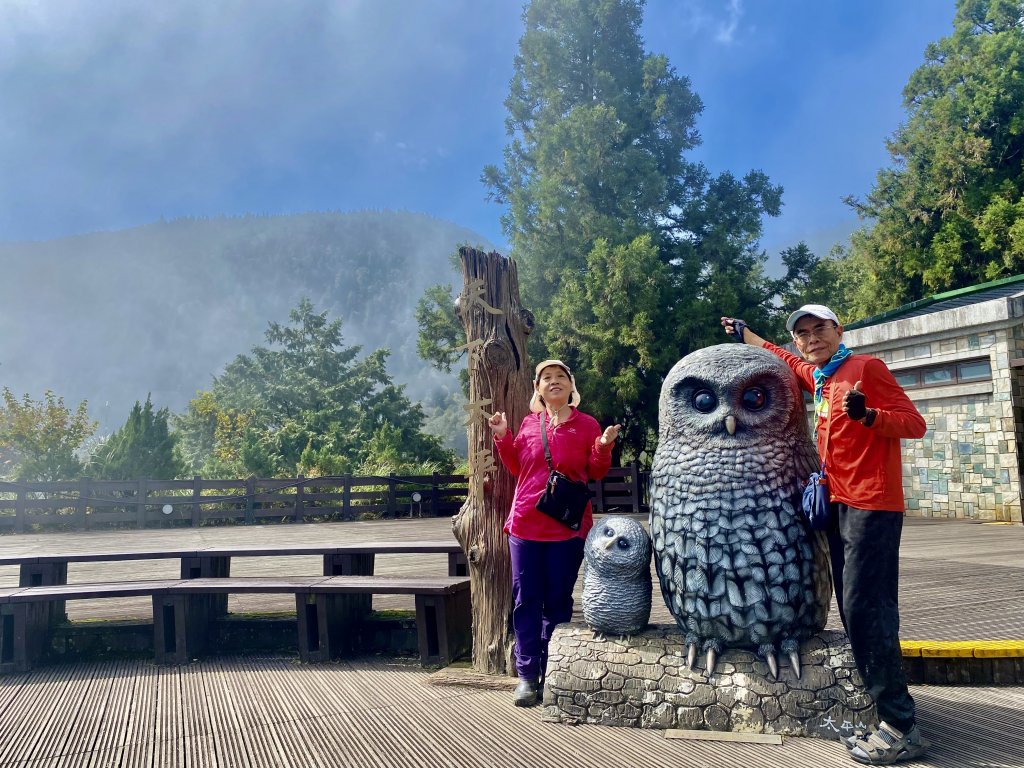 太平山山毛櫸步道與浪漫金黃相遇    2021/11/16_1519182