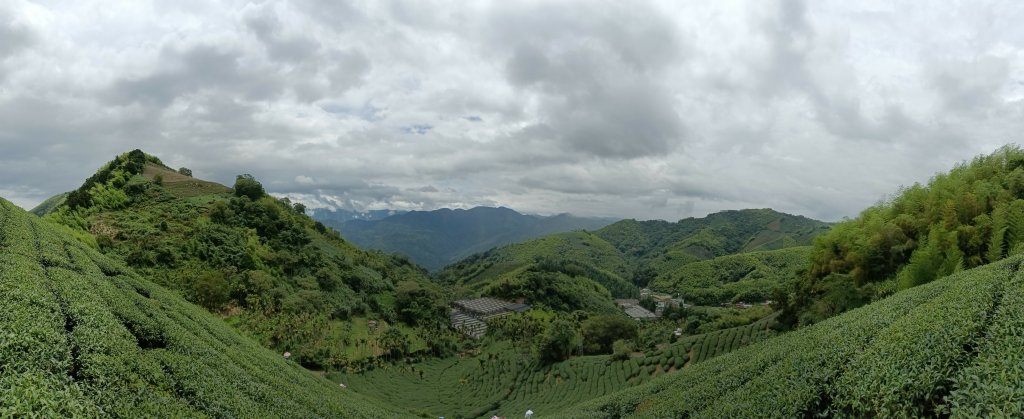 20220611_梨子腳山+太平山_1733262