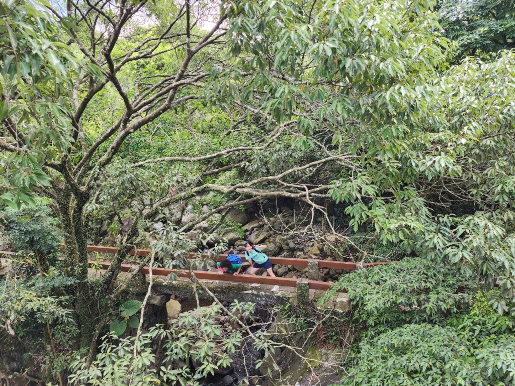 大屯溪古道封面圖