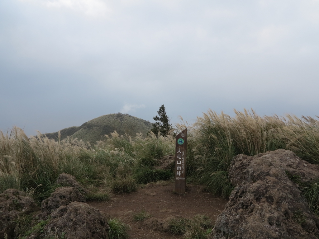 105.11.12 大屯山健行賞芒花~_73367