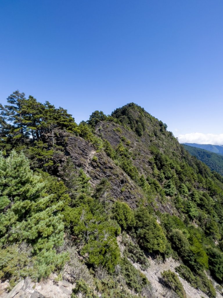 歐買尬～干卓萬橫斷四天_1488745