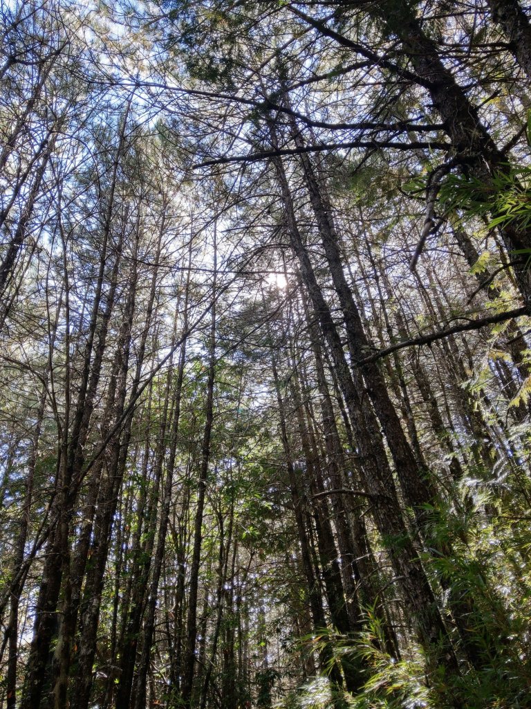 2022/10/02 合歡北峰下天巒池，登武法奈尾山，出將軍廟_1866804