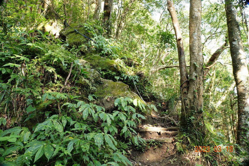 新竹 關西 馬武督山、蓮包山_2076577