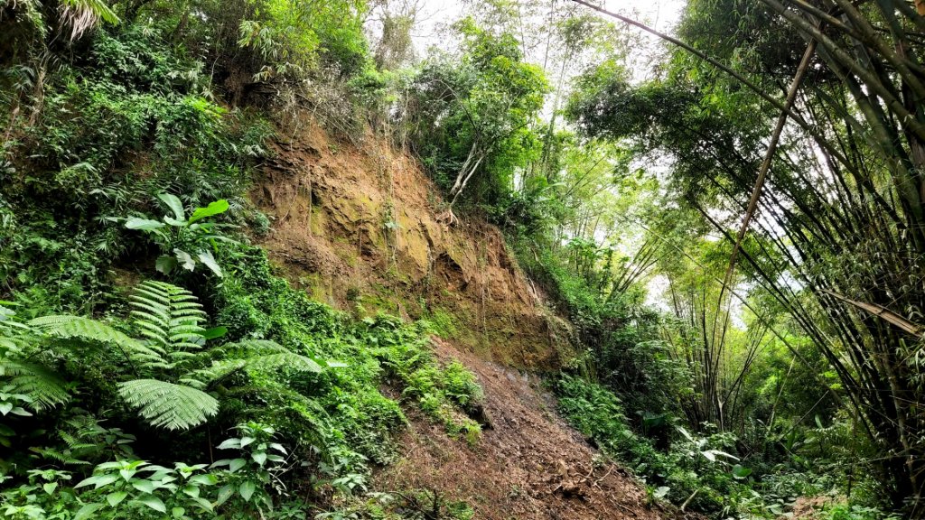 南投松柏坑山，登廟步道，賞茶步道，七星陣地公園，日月潭，彰化石牌坑古道_1801331