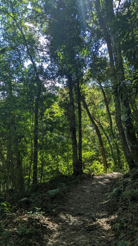 蝴蝶谷瀑布步道｜唐麻丹山登山步道 (松鶴部落上)_1900065
