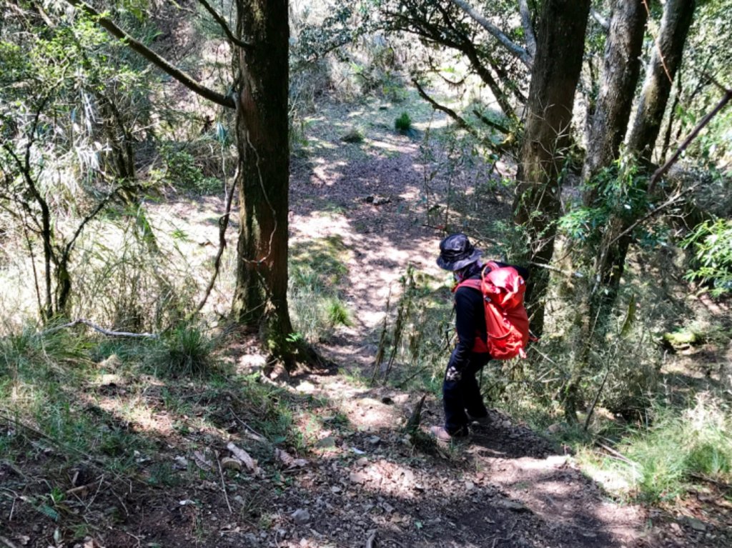 石山 石山引水道_551410