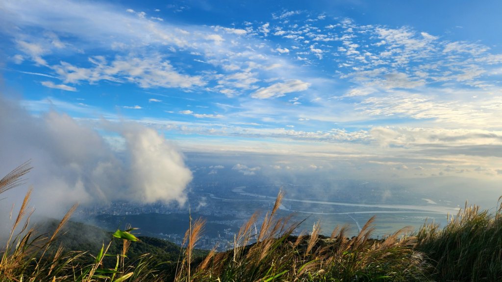 臺北大縱走第一段加碼版，忠義山，向天山，面天山，永春寮環狀步道，四季長廊觀景台，鳳梨宅，大屯自然公園_1921207