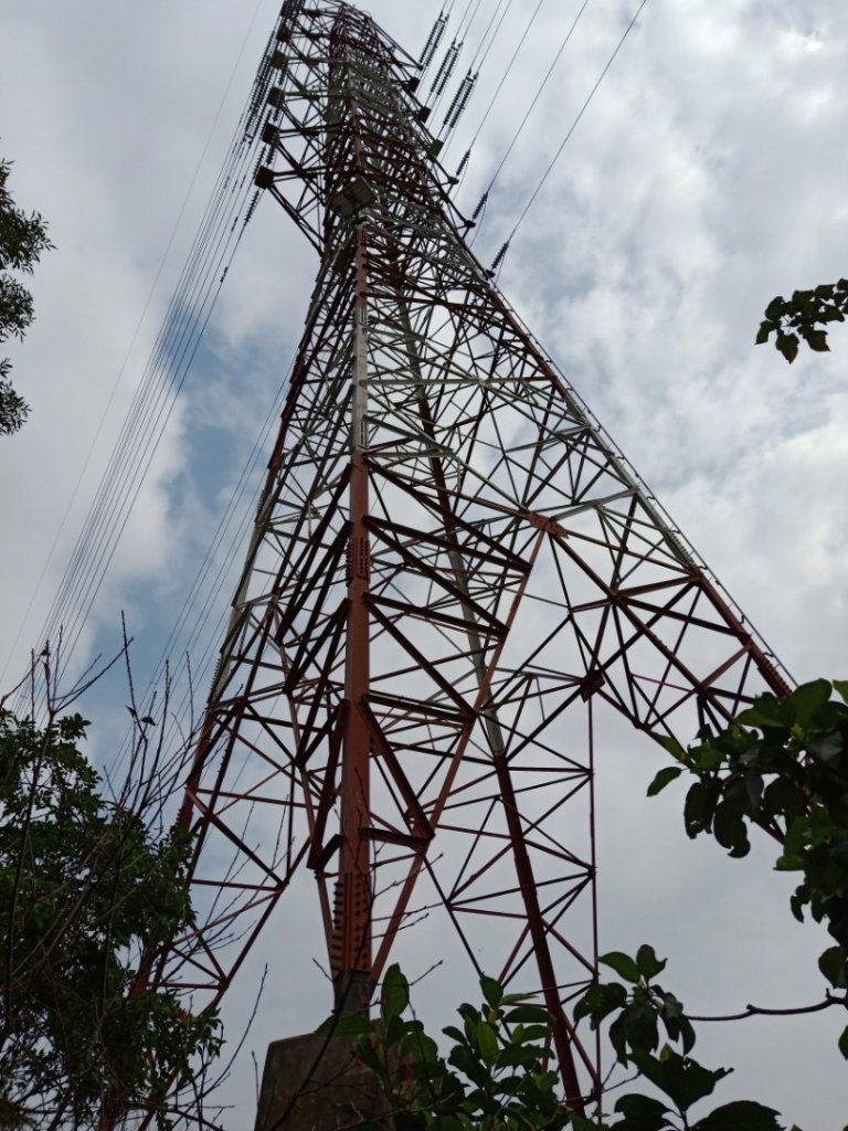 步道巡訪員│佐倉步道2月巡訪日誌_819685