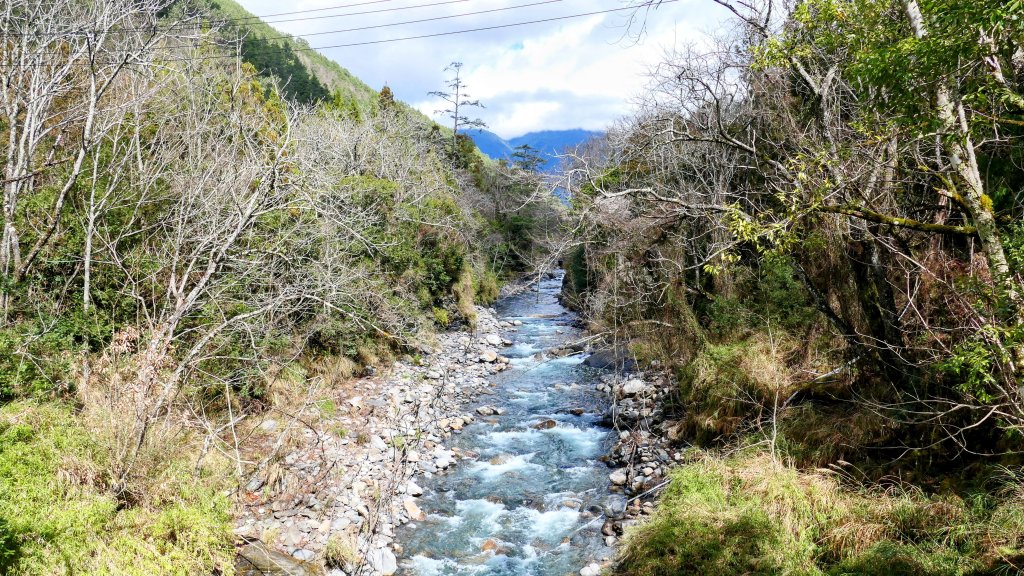 《踏莎行・武陵山櫻》_2712494