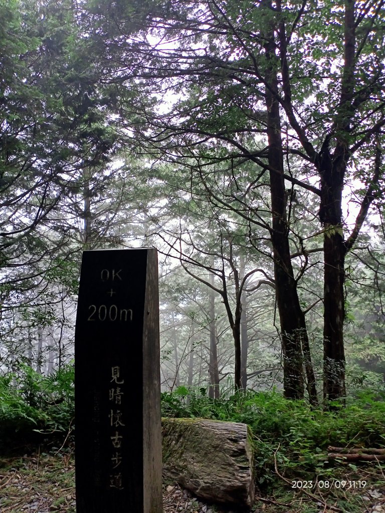 宜蘭太平山國家森林遊樂區 - 見晴懷古步道、檜木原始林步道（2-1 至蹦蹦車站）【台灣百大必訪步道】_2245178