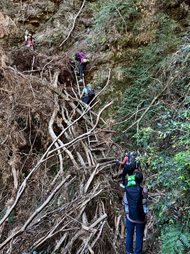2025.11.30 西巒大山封面圖