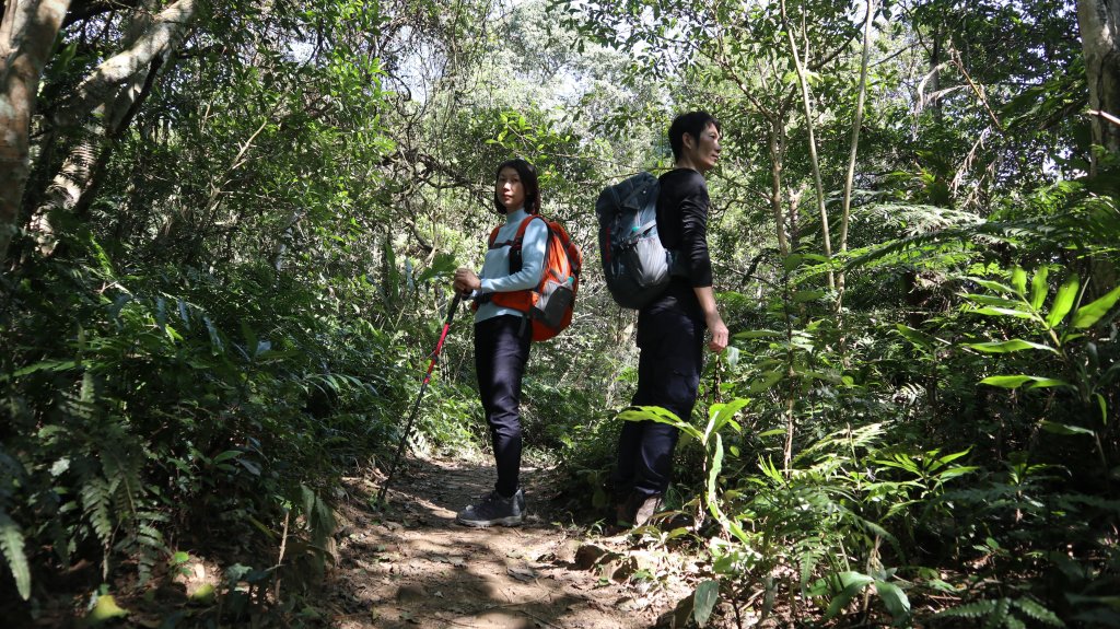 溪洲山登山健行趣(小百岳26號)_2069785