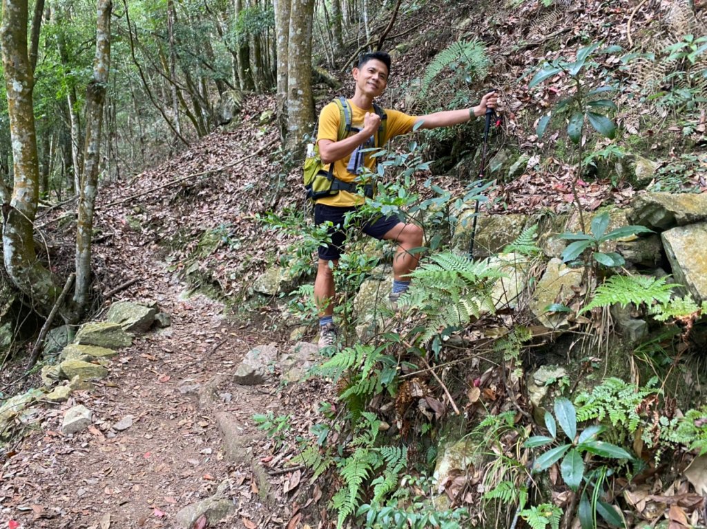 馬崙山.斯可巴步道【五星級的無限輪迴之字斜坡步道】_1901120