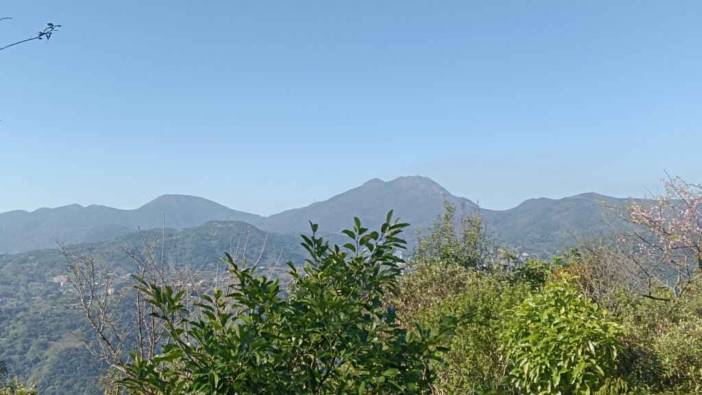 大崙頭尾山下大湖公園封面圖