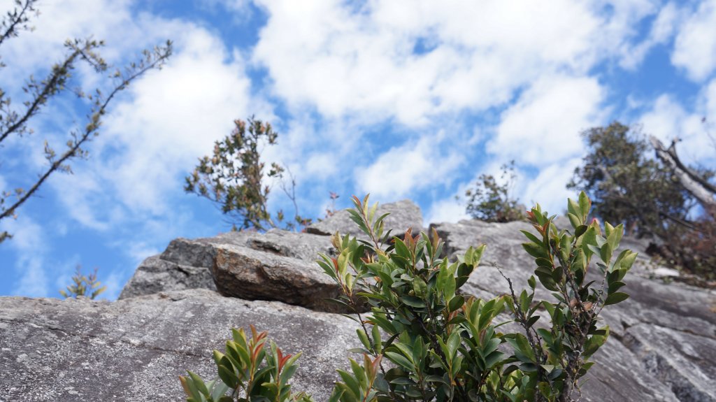 鳶嘴捎來之峰_791487