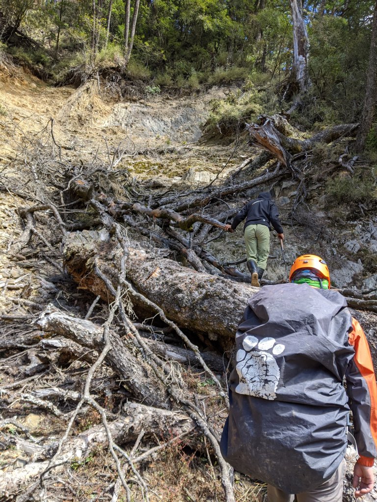 白石檜山出觀霧_1275995